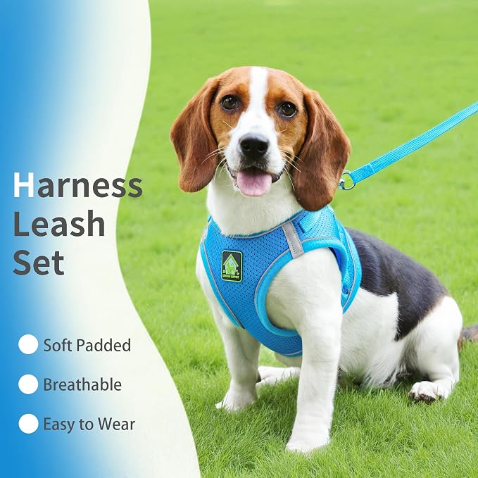 Step in Dog Harness with Leash Set, Adjustable Soft Padded and Breathable Mesh - Image 2