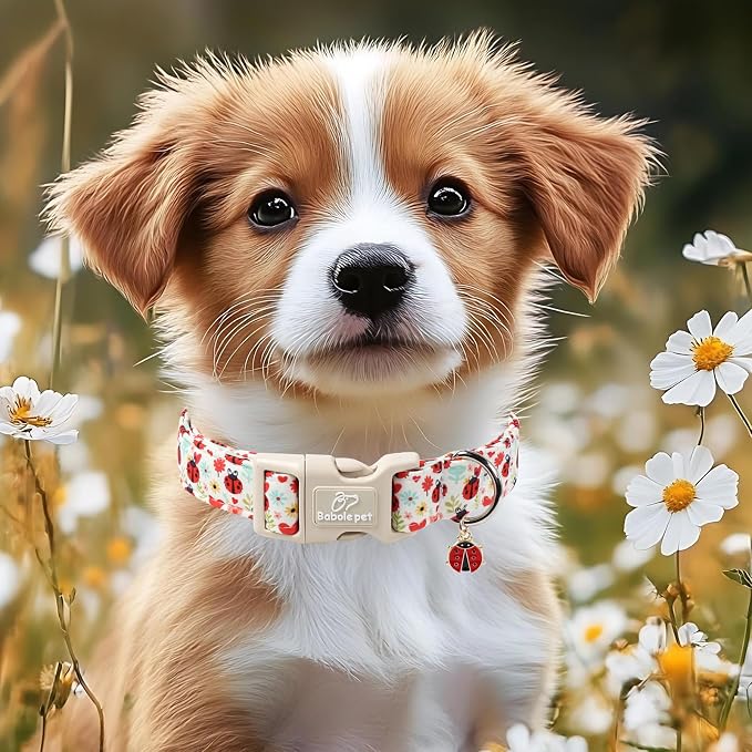 Ladybug Dog Collar for Large Dogs - Image 5