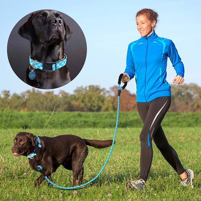 Reflective Dog Collar Padded - Image 4