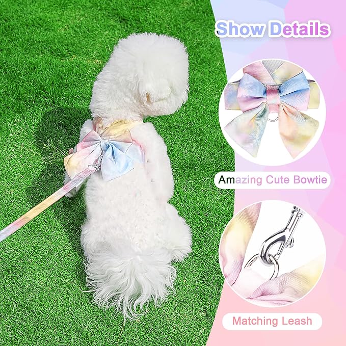 PETCARE Cute Bow Tie Dog Harness and Leash Set Elegant Rainbow Gradient Puppy - Image 5