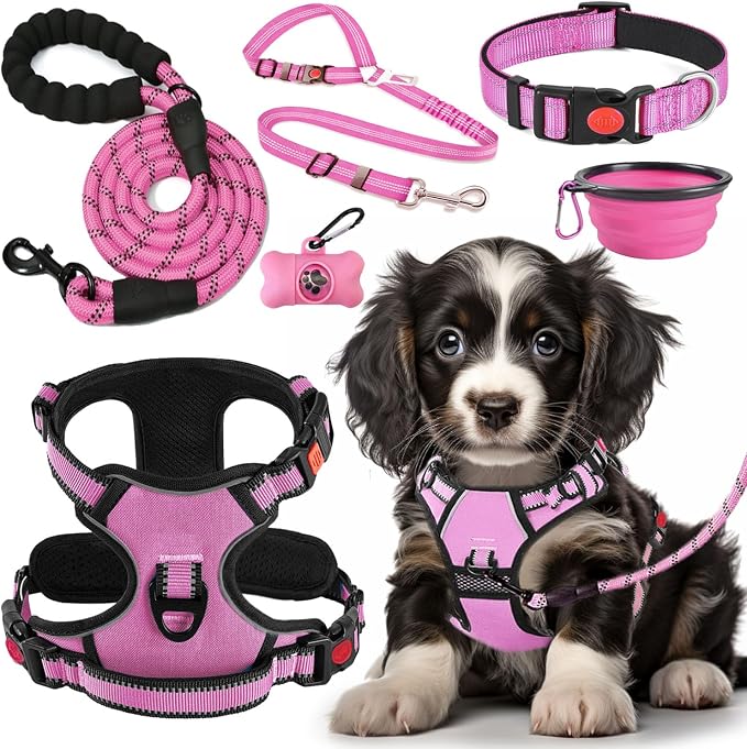 No Pull Dog Harness, Collar & Leash Set | Includes Dog Seat Belt, Collapsible by Lovebegetslove