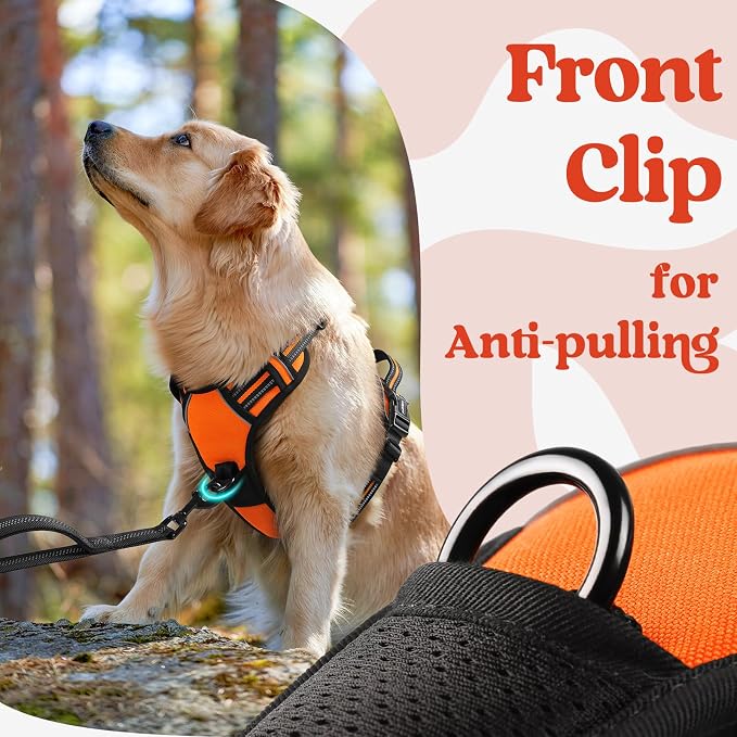 rabbitgoo Dog Harness Small Sized, No Pull Pet Harness - Image 7