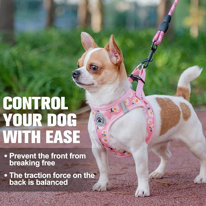 BEAUTYZOO Step in Dog Harness and Leash Set, Floral Pattern Reflective Dog - Image 8