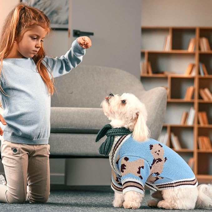 Small Dog Sweaters Cute Bear Dog Cardigans Clothes - Image 2