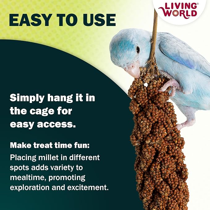 Living World – Millet Spray for Birds, 5 Pounds – Premium Treat for Budgies - Image 5