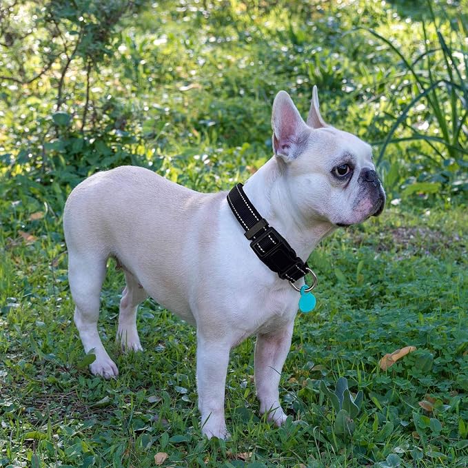 Reflective Dog Collar Padded - Image 5