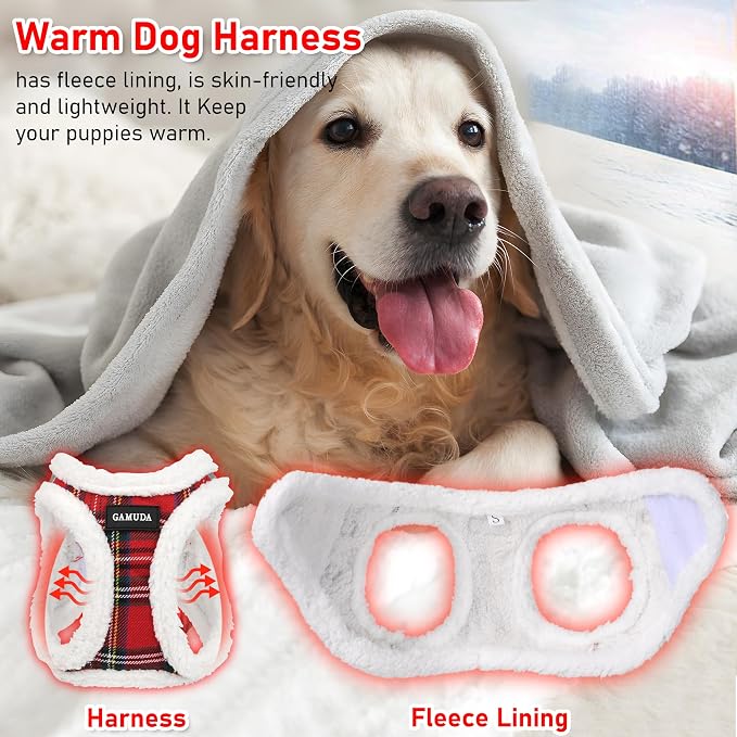 GAMUDA Small Dog Harness Collar and Leash Set, Step in No Chock No Pull Soft - Image 4