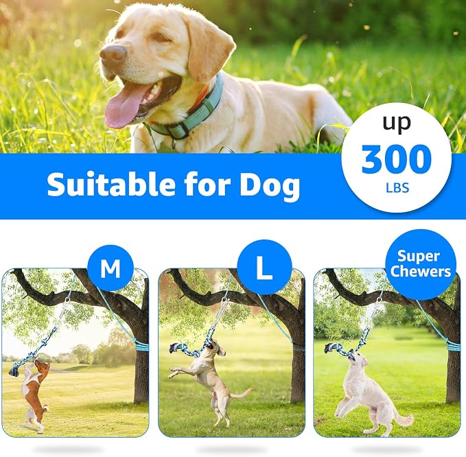 LOOBANI Spring Pole Toy for Pitbull: Bungee Tug of War Toys for Small Large - Image 7