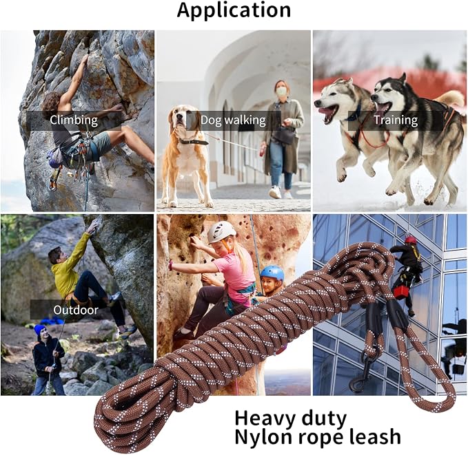 Long Dog Leash for Training 50Ft-Reflective Nylon Rope - Image 2