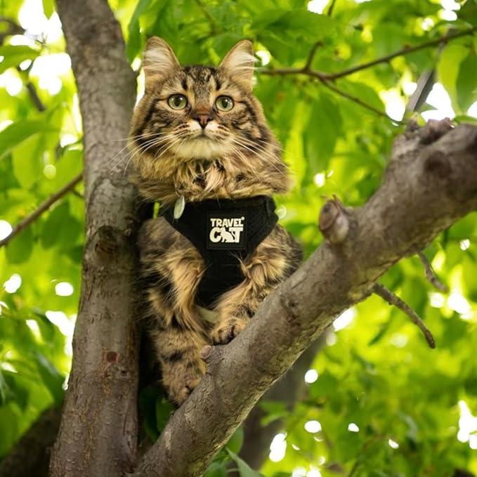 Travel Cat Harness and Leash Set - Image 9