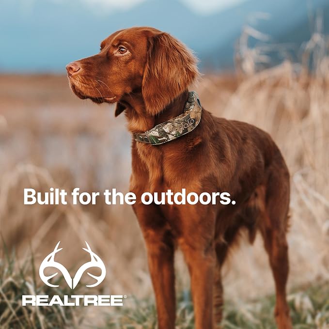 Halo Collar 5 Wireless Dog Fence & GPS Dog Collar, Keep Your Dog Safely - Image 8