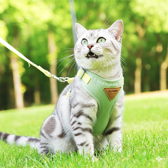Escape-Proof Cat Harness and Leash Set - Image 3