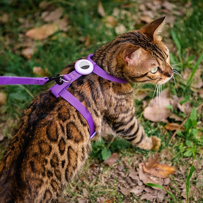Cat Harness and Leash Set with Airtag Holder - Image 2