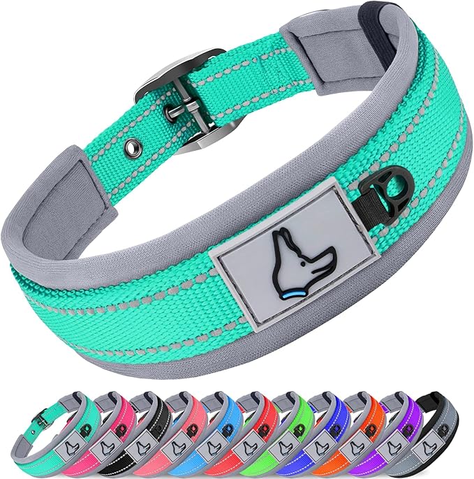 Joytale Dog Collar for Medium Dogs, Neoprene Padded and Adjustable, Reflective by Joytale