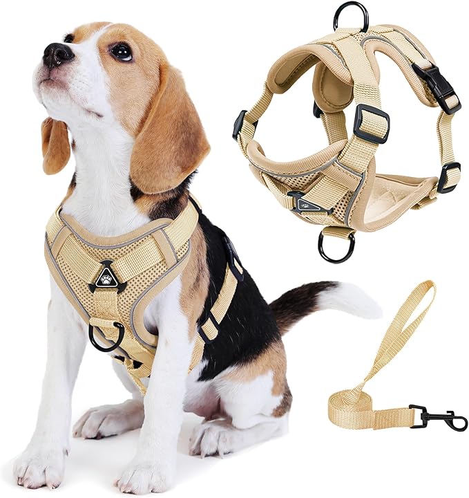 No Pull Dog Harness with Leash Set by Unknown