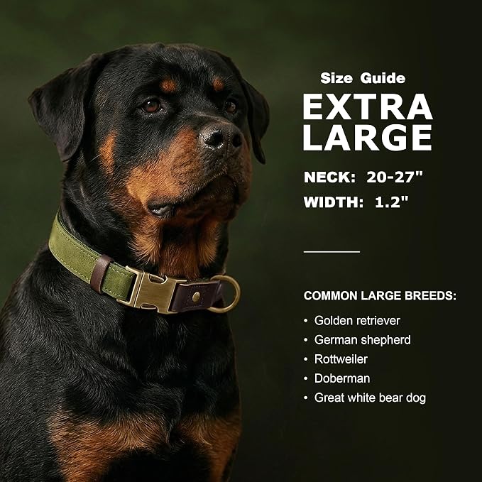 Didog Soft PU Leather Dog Collar - Image 3