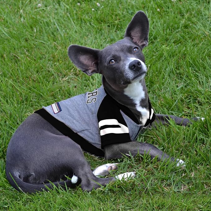 Pets First NFL Oakland Raiders Hoodie - Image 3