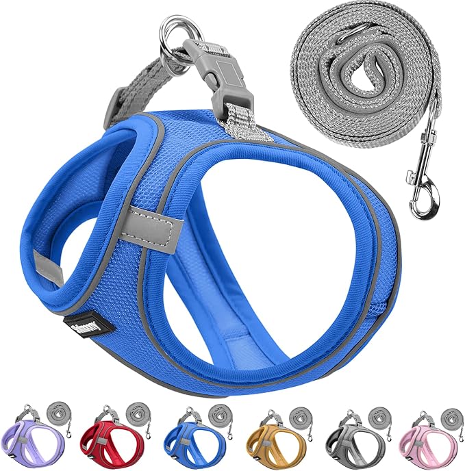 Solmoony Sparkly XXXS Dog Harness and Leash Set, Step in Soft Light Puppy Vest by SOLMOONY