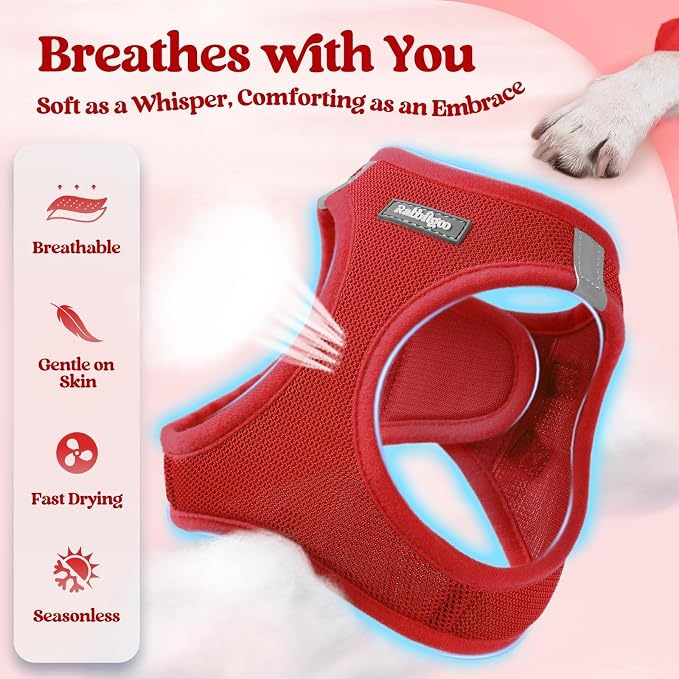 rabbitgoo Dog Harness Small Sized and Leash Set, Step in Soft Light Puppy Vest - Image 4
