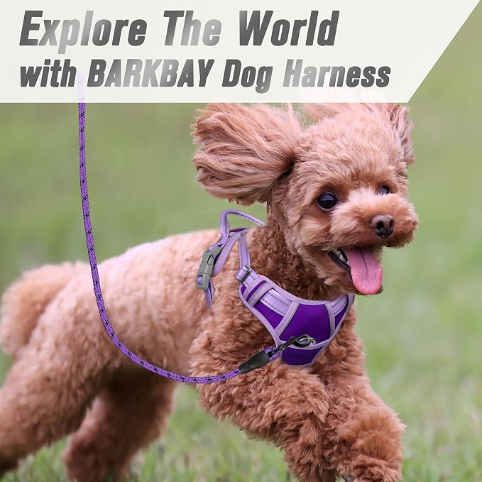 BARKBAY No Pull Dog Harness Front Clip Heavy Duty Reflective Easy Control Handle - Image 8