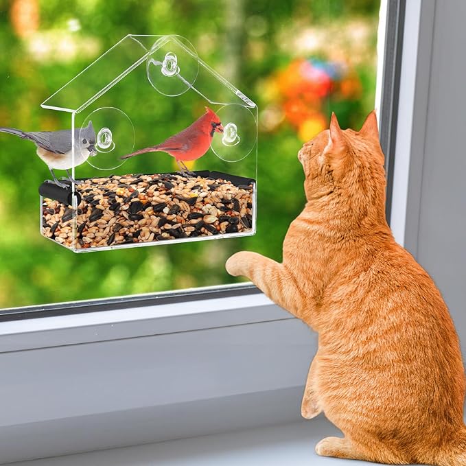 Outdoor Window Bird Feeder for Cats Viewing by MEWTOGO