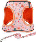 Step in Dog Harness and Leash Set, Reflective Adjustable No Pull Dog Harness by Mihqy
