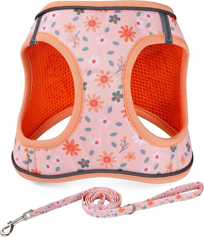 Step in Dog Harness and Leash Set, Reflective Adjustable No Pull Dog Harness by Mihqy