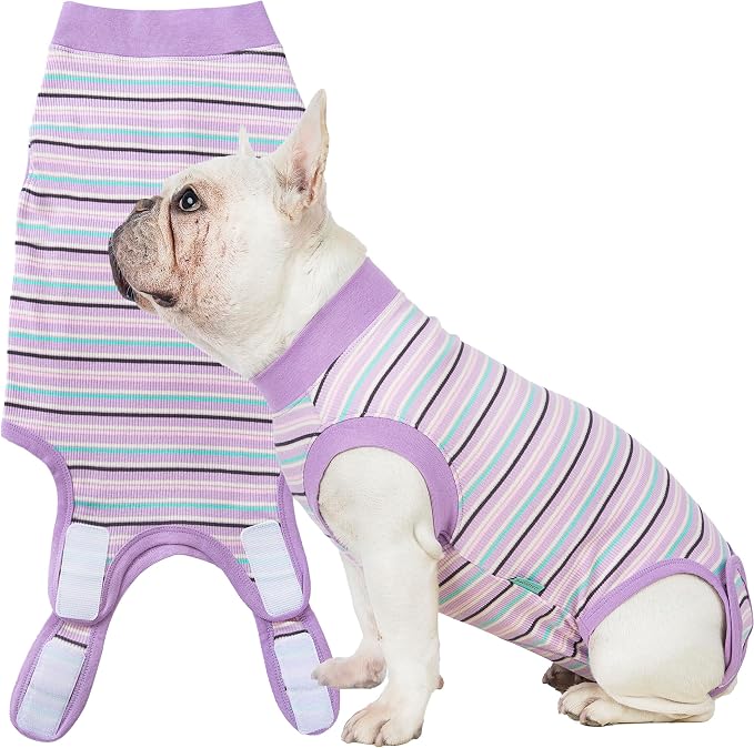 Sebdtico Recovery Suit for Dogs, Dog Surgery Suit Female Spay, Soft Dog Onesie by Unknown