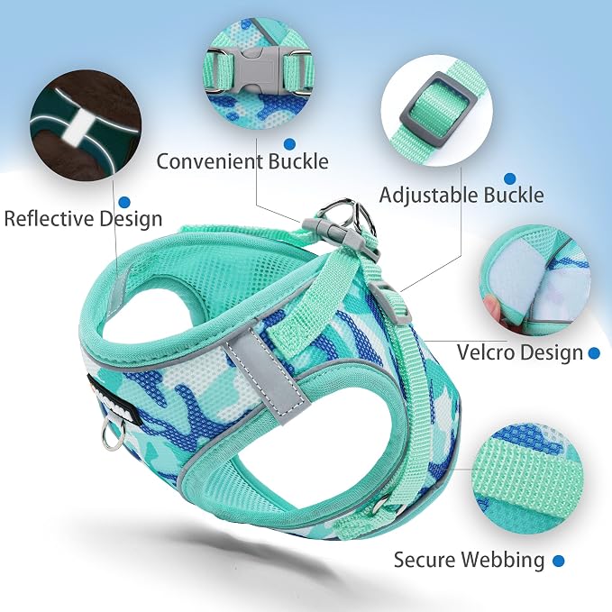 Step in Dog Harness with Leash Set, Adjustable Soft Padded and Breathable Mesh - Image 3