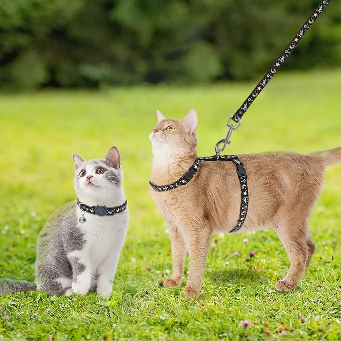 PAWCHIE Cat Harness with Leash and Collar Set - Image 3