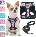 BEAUTYZOO Step in Dog Leash Set, Floral Pattern Reflective Harness No Pull No by BEAUTYZOO