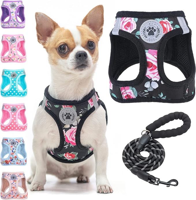 BEAUTYZOO Step in Dog Leash Set, Floral Pattern Reflective Harness No Pull No by BEAUTYZOO