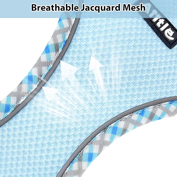 AIITLE Dog Harness and Leash Set - Image 3