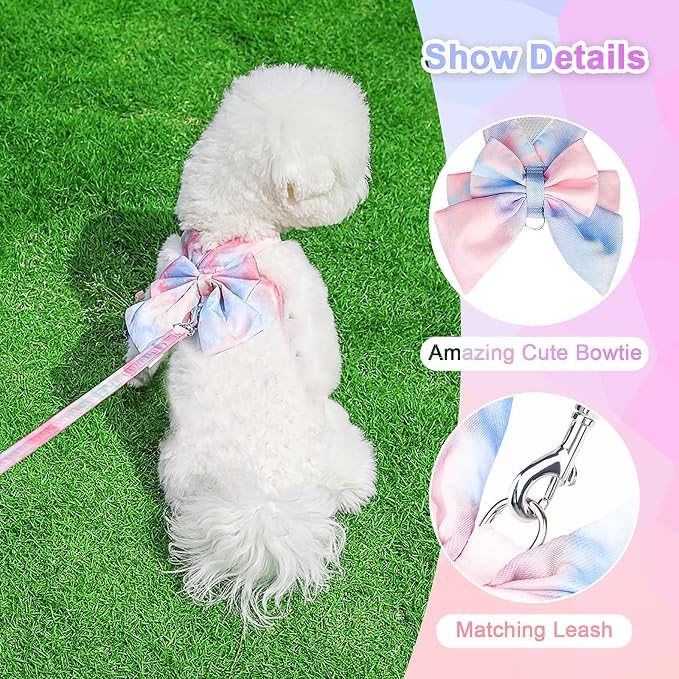 PETCARE Cute Bow Tie Dog Harness and Leash Set Elegant Rainbow Gradient Puppy - Image 6