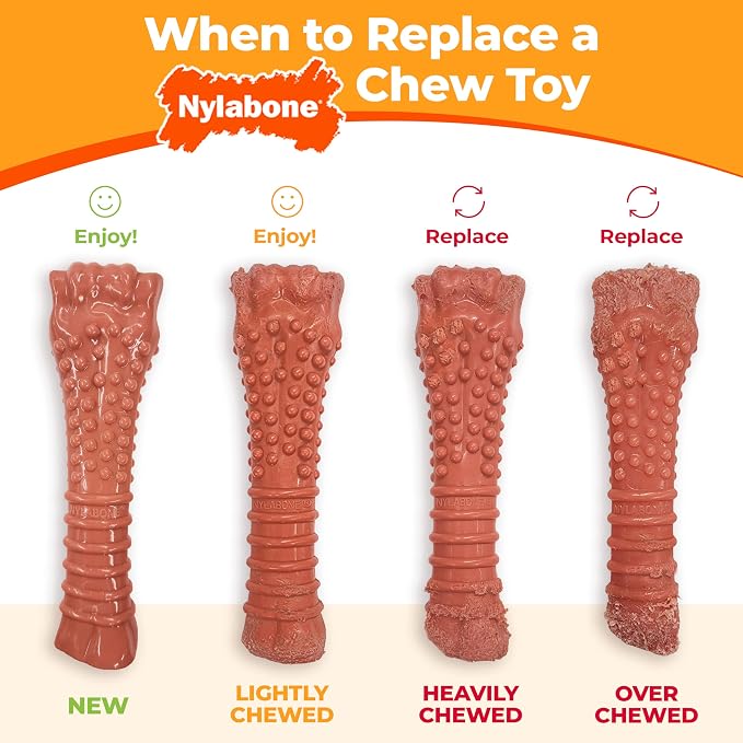 Nylabone Original Bone Power Chew Toy - Image 6