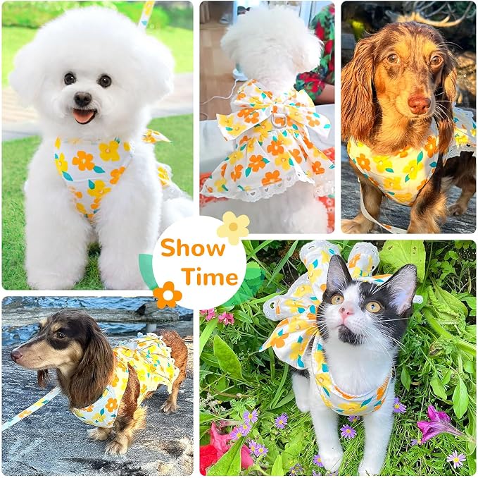 Dog Harness Dress Leash Set for Small Dog Summer Clothes Girl Female Puppy Cats - Image 2