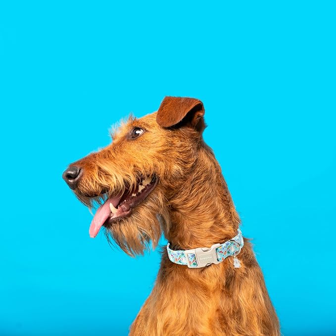 Lionet Paws Easter Dog Collar- Cute White Easter Bunny Blue Dog Collars - Image 2