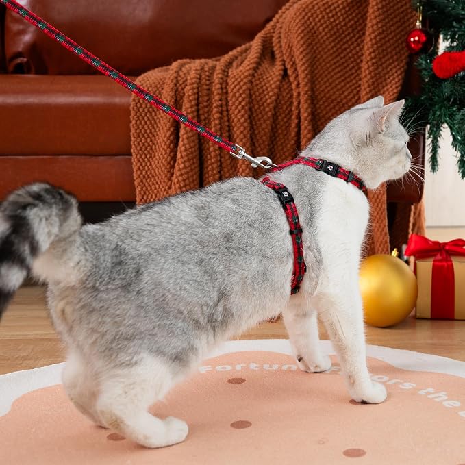 azuza Cat Harness and Leash Set - Image 6