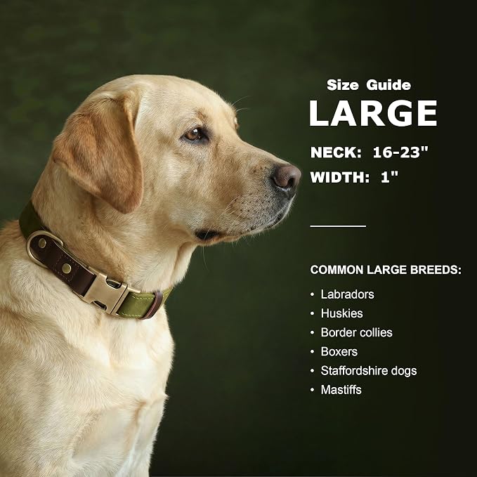 Didog Soft PU Leather Dog Collar - Image 3