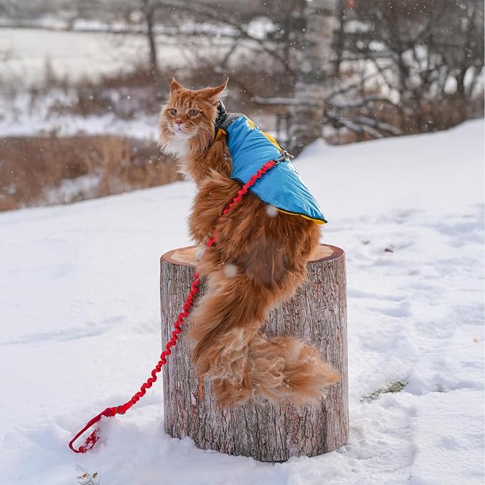 The Catagonia Puffer Jacket Harness - Image 6