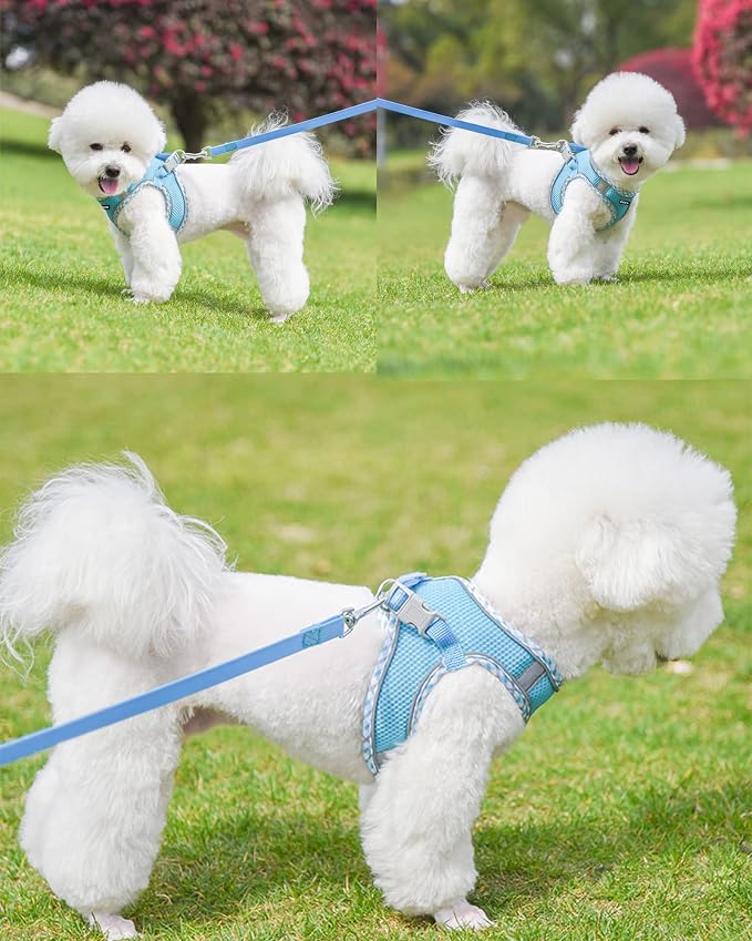 Petank Dog Harness for Small Medium Dogs No Pull, Puppy Harness and Leash Set - Image 2