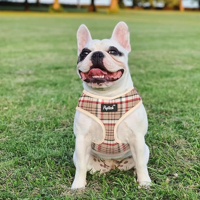 PUPTECK Soft Mesh Dog Harness and Leash Set Pet Puppy Cat Comfort Padded Vest - Image 6