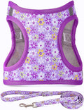 Moonpet Step in Dog Harness Leash Set- All Weather Reflective No-Pull Floral by MOONPET
