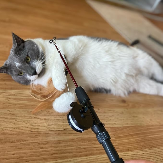 SPOT Fishing Rod 'N Reel Kitty Teaser - Image 4