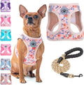 BEAUTYZOO Step in Dog Harness and Leash Set, Floral Pattern Reflective Dog by BEAUTYZOO