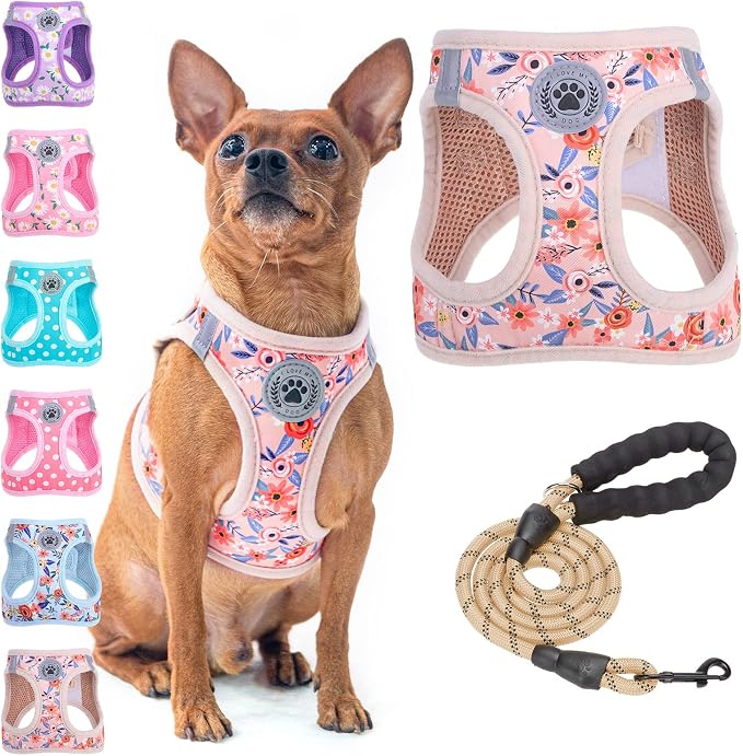 BEAUTYZOO Step in Dog Harness and Leash Set, Floral Pattern Reflective Dog by BEAUTYZOO