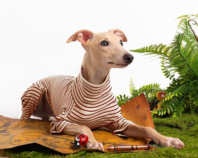 Dog Sweaters for Small Dogs Girls Boys, Striped Pet Sweaters for Fall Winter - Image 5