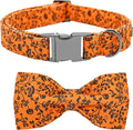 Halloween Dog Collar, Pet Collar Dog Bow Pumpkin Pet Collar Girl Boy Holiday by BoboRainbow