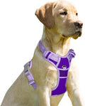 BARKBAY No Pull Dog Harness Front Clip Heavy Duty Reflective Easy Control Handle by BARKBAY