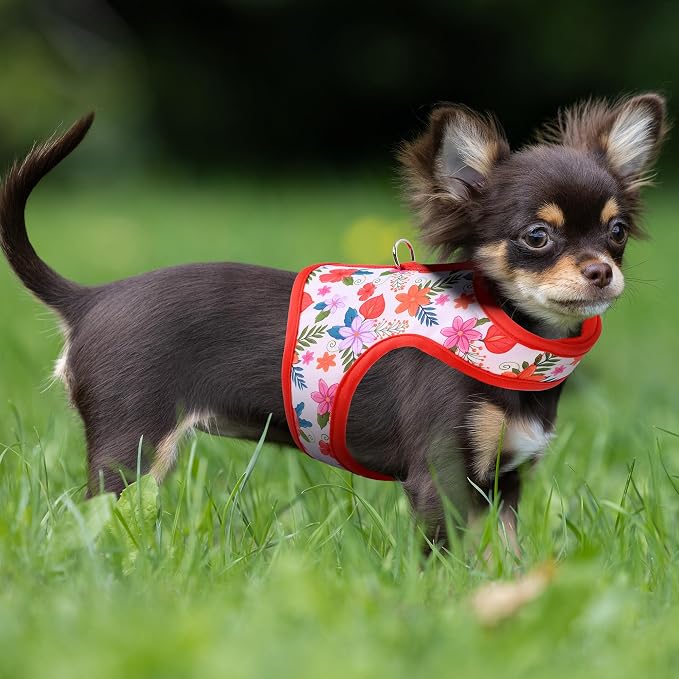 Mile High Life Dog Harness, Air Mesh Floral Vest Harness - Image 8